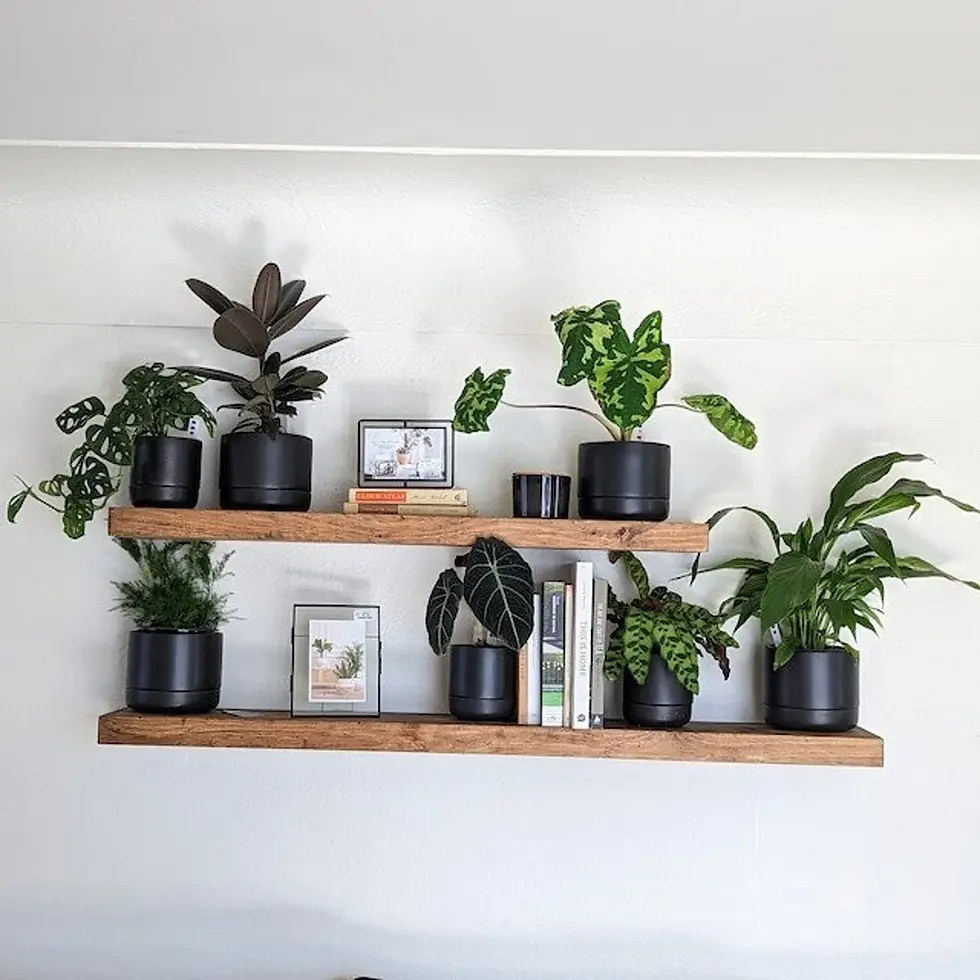 Thumbnail: Handmade Floating Shelf with Iron Pipe Brackets – Douglas Fir Wood