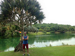 12191888_974638212578534_3589447559799194064_n