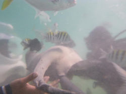 14503_669637883078570_893271984_n