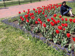 944355_527114993997527_1266222340_n