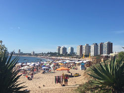 16114764_1353519551357063_1200317860786058861_n