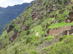 304246_487312457977781_703866149_n