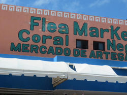 1779294_668516303190728_128831410_n