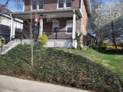 941622_527121323996894_1280742937_n