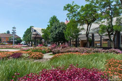 praca-das-flores-nova