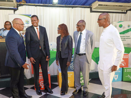 Fitzroy Vidal Moderates Influential Panel on Policy, Finance, and Regulation at Jamaica’s Green Hydrogen Launch and Workshop