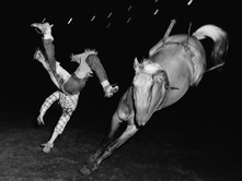 A man being thrown from a bucking Bronco