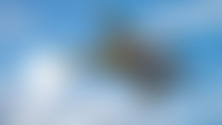 The story of the "ADFX-01 Morgan First Prototype" feat. Scale Aviation vol. 135