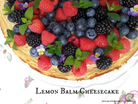 Lemon Balm Cheesecake Recipe