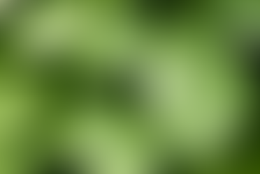 Have you try mystical Kava?