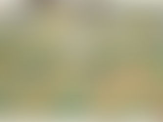 THE UNIVERSAL LIFE-ENERGY, VISHVAPRANA