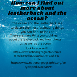 Social Media Campaign Grade 8&9