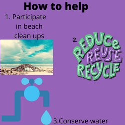 Social Media Campaign Grade 8&9