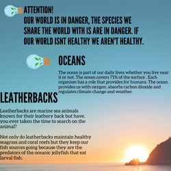 Social Media Campaign Grade 8&9