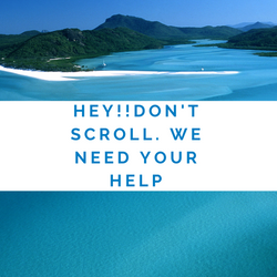 Social Media Campaign Grade 8&9