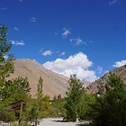 COCHIGUAZ.JPG