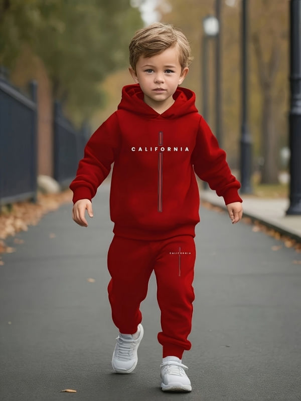 Baby boys' hooded fleece sweatshirt