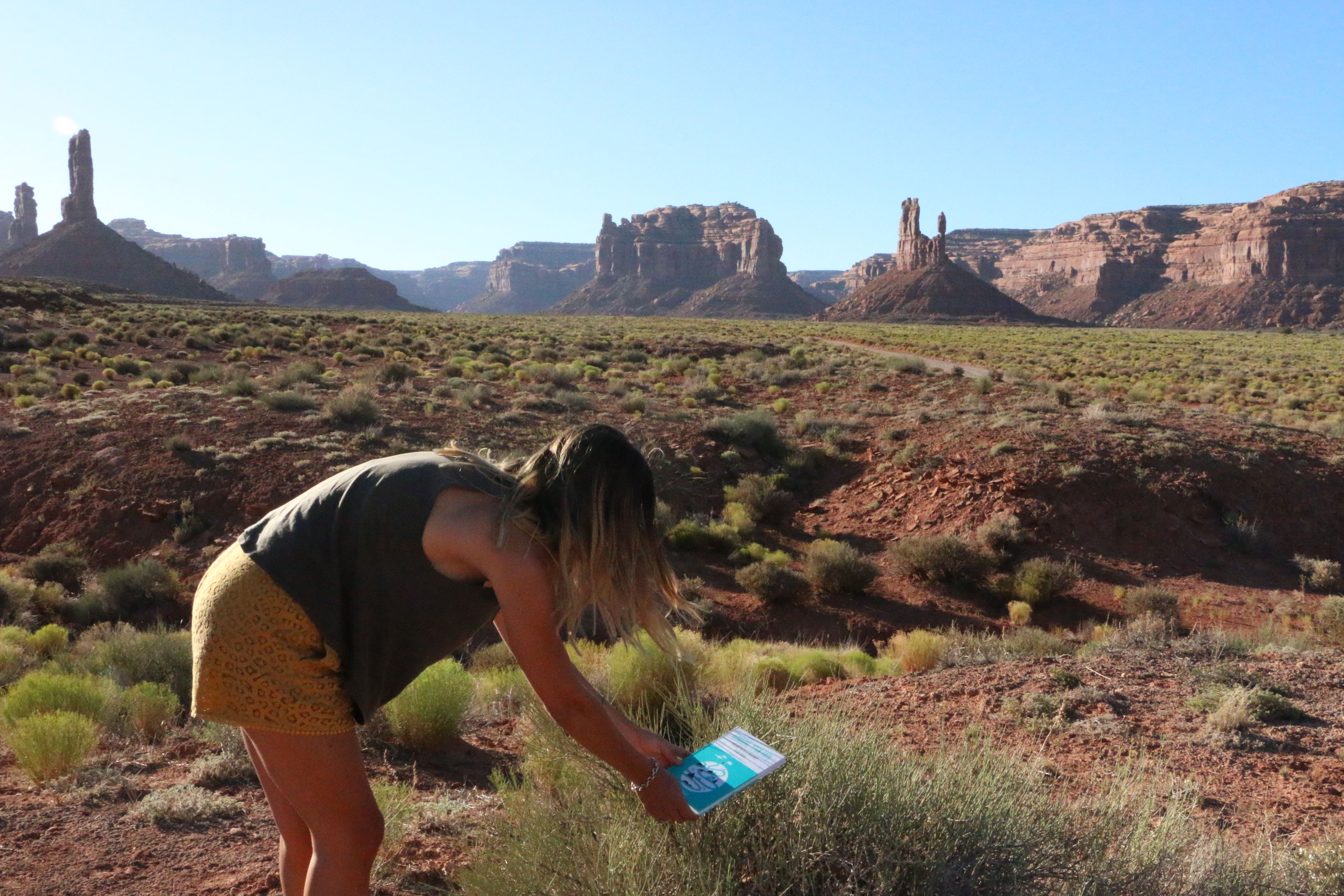Valley of the Gods