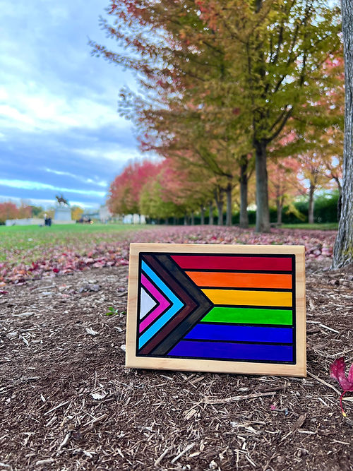 Progress Pride Flag - Small