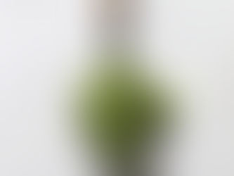 Pesto Vegano - Senza Formaggio