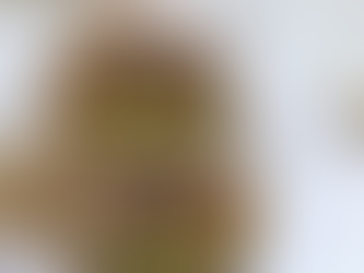 Panino estivo - con avocado, pomodoro, olive e zucchine (vegan)