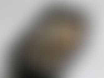 Sushi Vegano: la ricetta degli Uramaki con Avocado e Verdure