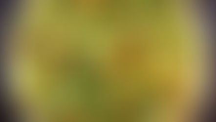 Tagliatelle zafferano e zucchine