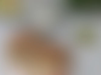 Panino con formaggio di tofu, avocado e pomodori