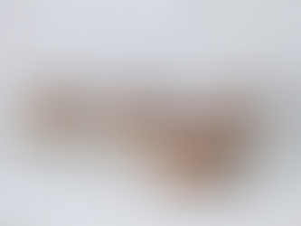 Tiramisù Vegano - Facile e Veloce - Pronto in 15 minuti