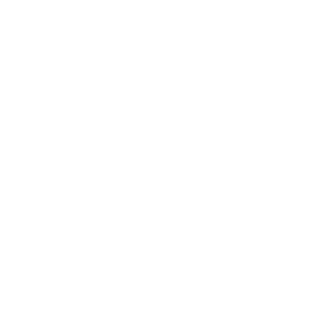 CONCEPT ART