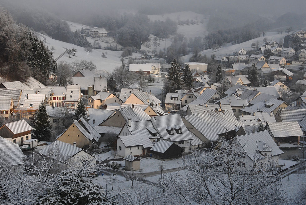 Buus im Schnee 31.3.2007