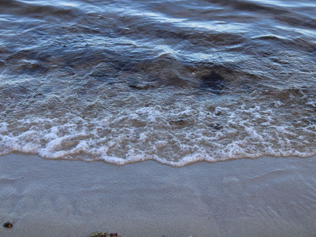 Oregon Beach Photo Gallery