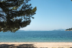 201705広島牡蠣web-277