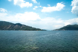 201705広島牡蠣web-238