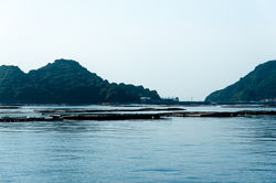 201705広島牡蠣web-167