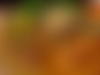 スパイスカレーよ、大和川を渡れ！