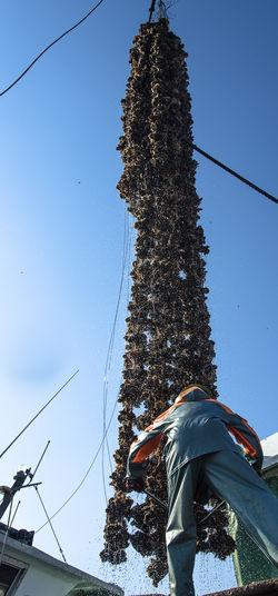 201705広島牡蠣web-108