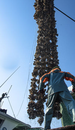 201705広島牡蠣web-106
