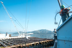 201705広島牡蠣web-130