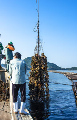 201705広島牡蠣web-88