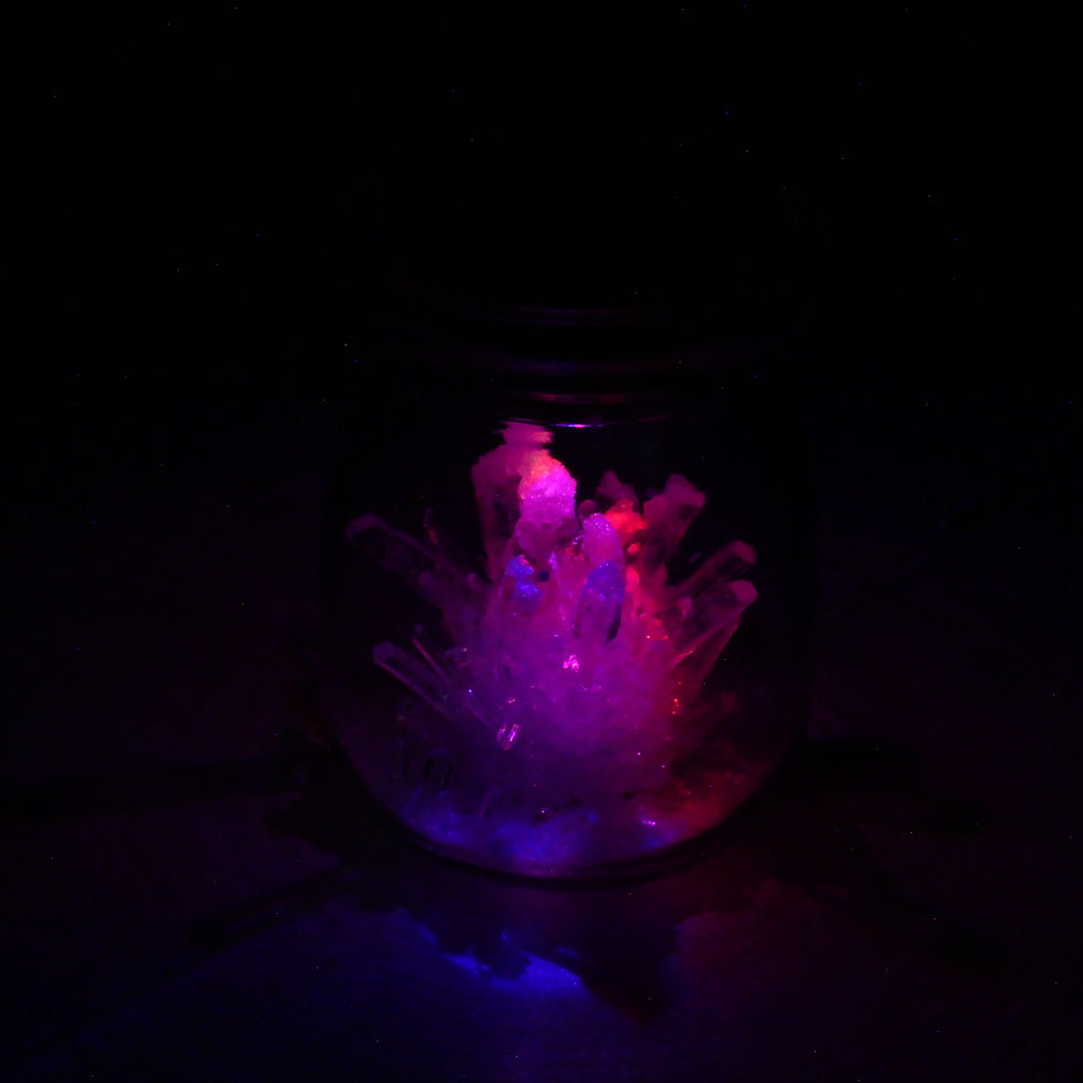 縮圖：水晶种植套装（带灯）