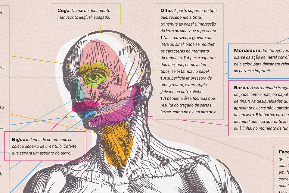 diagrama_header.png