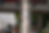 IMG_3754.png