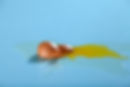 Broken egg with shell, yolk, and white spilled on a smooth blue surface, creating contrast. Bright lighting. No text visible.
