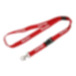 Lanyard