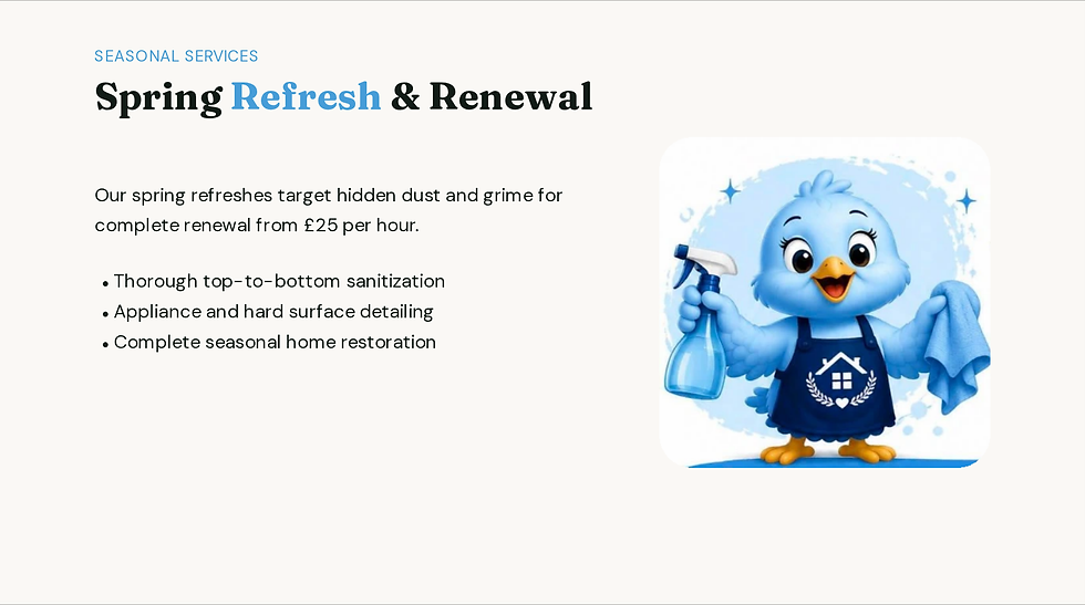 Blue bird mascot for regular domestic cleaning services.