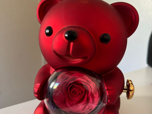 Boîte à musique ourson avec rose éternelle rouge