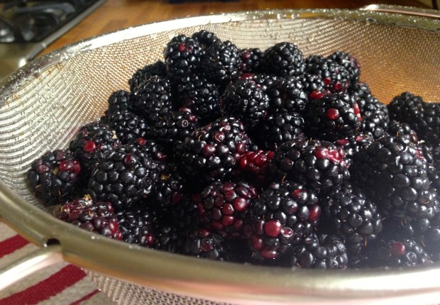 Blackberry Cobbler 2