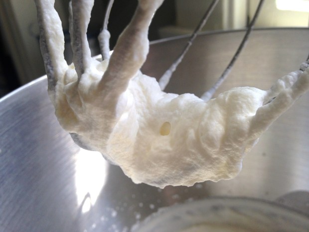 No Bake Cashew & Salted Caramel Ice Cream Cake