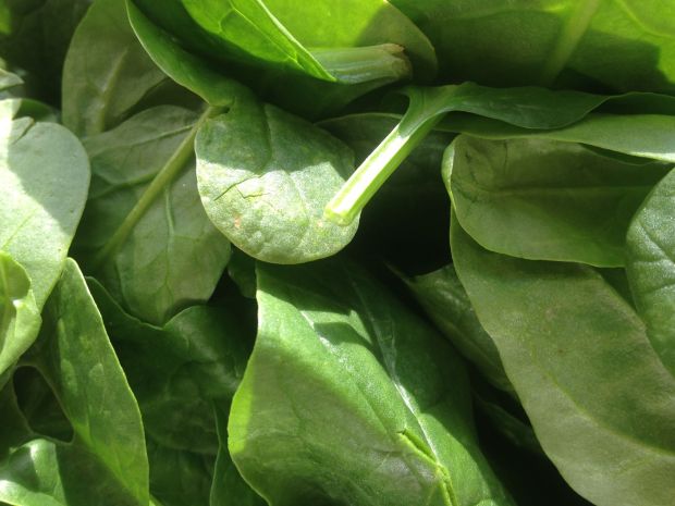 Spinach